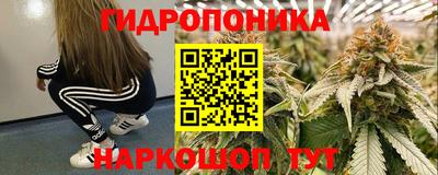 PSILOCYBIN Конаково