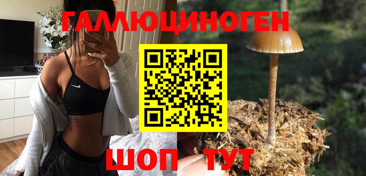 Коммунар  Галлюциногенные грибы мухоморы  Псилоцибиновые грибы мицелий  Вход с VPN 