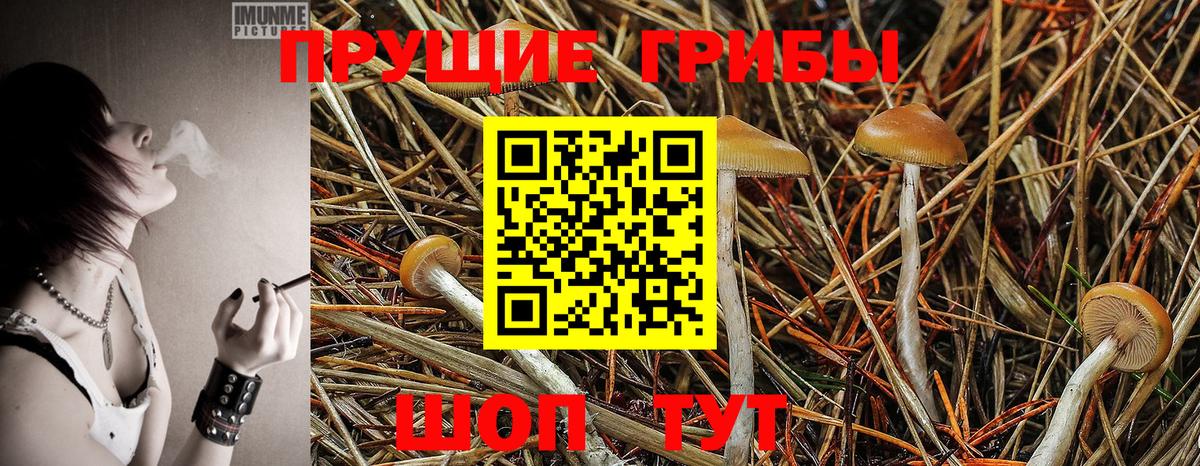 Галлюциногенные грибы MAGIC MUSHROOMS Коммунар