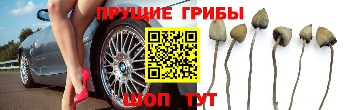 Cocaine  Вход с VPN  МЕТАМФЕТАМИН  Лсд 25  Экстази  ГАШ  Меф   Коммунар  Alpha PVP СК кристаллы  Канабис 